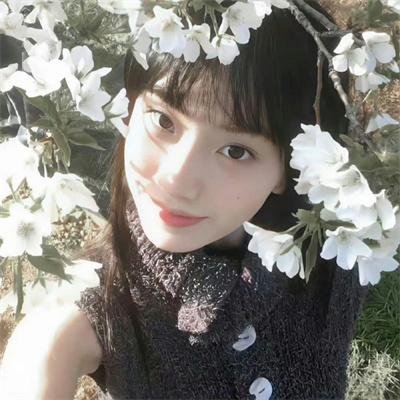 泰坦第三季